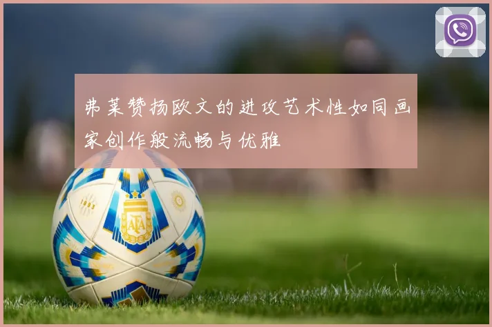 弗莱赞扬欧文的进攻艺术性如同画家创作般流畅与优雅